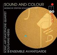 Sound and Colour - Works by Schleiermacher