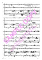 Paul Carr: Summer Music - Flute/Cello/Piano Product Image