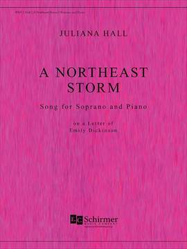 Juliana Hall: A Northeast Storm