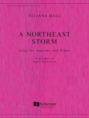 Juliana Hall: A Northeast Storm Product Image