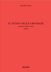 Carlo Boccadoro: Il vento nelle grondaie
