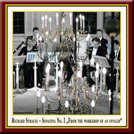 Strauss: Sonatina No. 1 in F Major for 16 Wind Instruments, TrV 288 'From the Workshop of an Invalid'