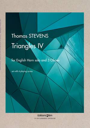 Thomas Stevens: Triangles IV