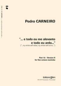 Pedro Carneiro: E Todo Eu Me Alevanto E Todo Eu Ardo... Part 1B