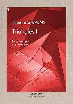 Thomas Stevens: Triangles I