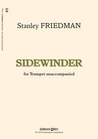 Stanley Friedman: Sidewinder
