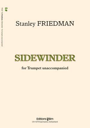 Stanley Friedman: Sidewinder