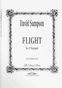 David Sampson: Flight