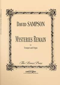 David Sampson: Mysteries Remain