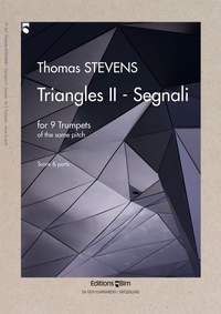 Thomas Stevens: Triangles II