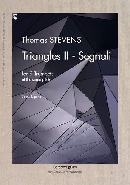 Thomas Stevens: Triangles II