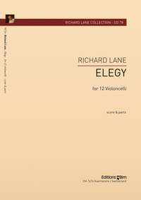 Richard Lane: Elegy