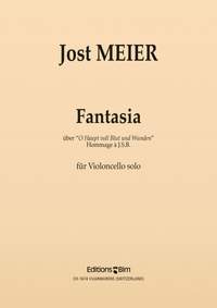 Jost Meier: Fantasia Über O Haupt Voll Blut und Wunden