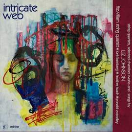 Liz Johnson: Intricate Web