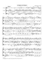 Richard Flury: Streichtrio Product Image