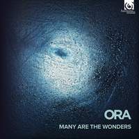 Many are the wonders (Renaissance choral gems and their reflections: Tallis)