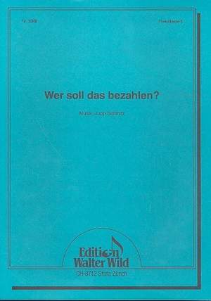 Jan Schmitz: Wer Soll Das Bezahlen?