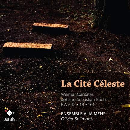 JS Bach: Weimar Cantatas