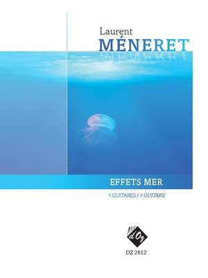 Laurent Méneret: Effets Mer