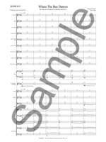 Michael Nyman: Where The Bee Dances Product Image