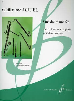 Guillaume Druel: Sans Doute Une Fee