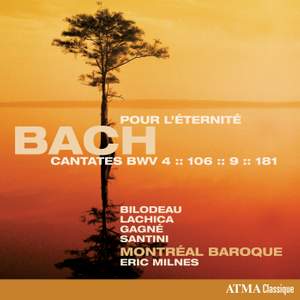 Bach - Cantatas Volume 6