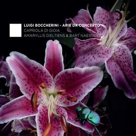 Boccherini: Arie da Concerto
