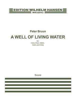 Peter Bruun: A Well Of Living Water
