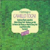 Hommage à Camillo Togni (Live)