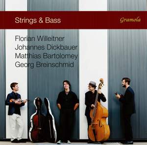 Strings & Bass