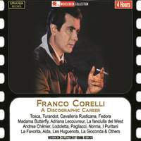 A Discographic Career