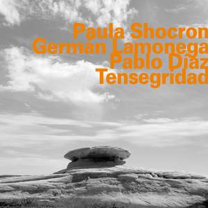 Paula Shocron, German Lamonega, Pablo Diaz: Tensegridad