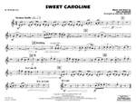 Neil Diamond: Sweet Caroline Product Image