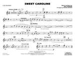 Neil Diamond: Sweet Caroline Product Image