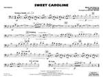 Neil Diamond: Sweet Caroline Product Image