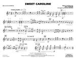 Neil Diamond: Sweet Caroline Product Image