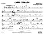 Neil Diamond: Sweet Caroline Product Image