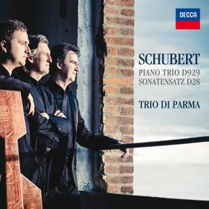 Schubert: Piano Trio D929 & Sonatensatz D28