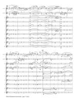 Robert Schumann: Concertstuck - First Movement Product Image
