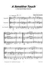 Robert van Aerschot: A Sensitive Touch Product Image
