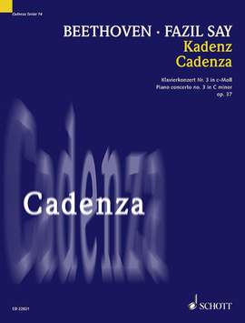Say, F: Kadenz C minor op. 37 Vol. 14