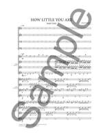 Nico Muhly: How Little You Are Product Image