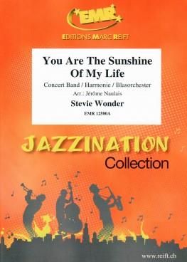 Stevie Wonder: You Are The Sunshine Of My Life