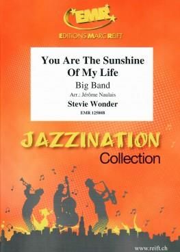 Stevie Wonder: You Are The Sunshine Of My Life