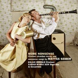 Seiber: More Nonsense