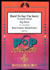 Peter Cetera_David Foster: Hard To Say I'm Sorry