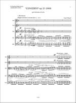 Sergio Calligaris: Concerto op. 25 Product Image