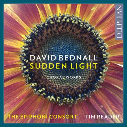 David Bednall: Sudden Light