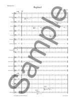 Bryce Dessner: Raphael Product Image