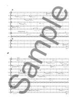Bryce Dessner: Raphael Product Image